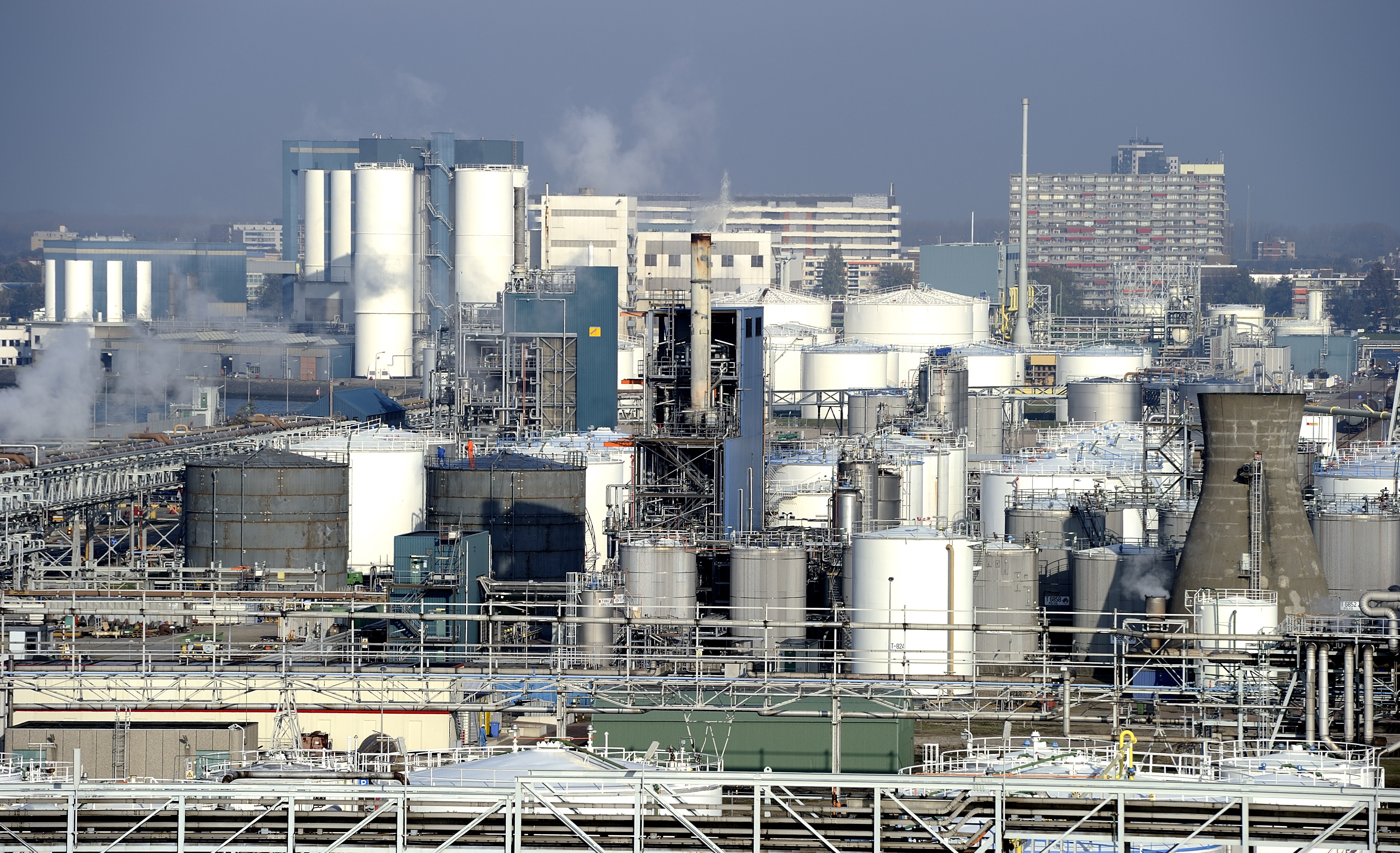 Topsectoren in Nederland, zoals landbouw, chemie en de creatieve industrie, zijn beter bestand tegen de economische crisis dan andere sectoren. Hoewel de Nederlandse economie in 2013 naar verwacht krimpt, zullen bedrijven in de topsectoren nog een kleine plus laten zien van 0,25 procent. Dit blijkt uit het dinsdag verschenen rapport 'Topsectoren: beeld en ontwikkeling' van onderzoeksbureau Panteia.