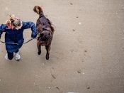 Een vrouw laat een hond uit op het strand in Scheveningen