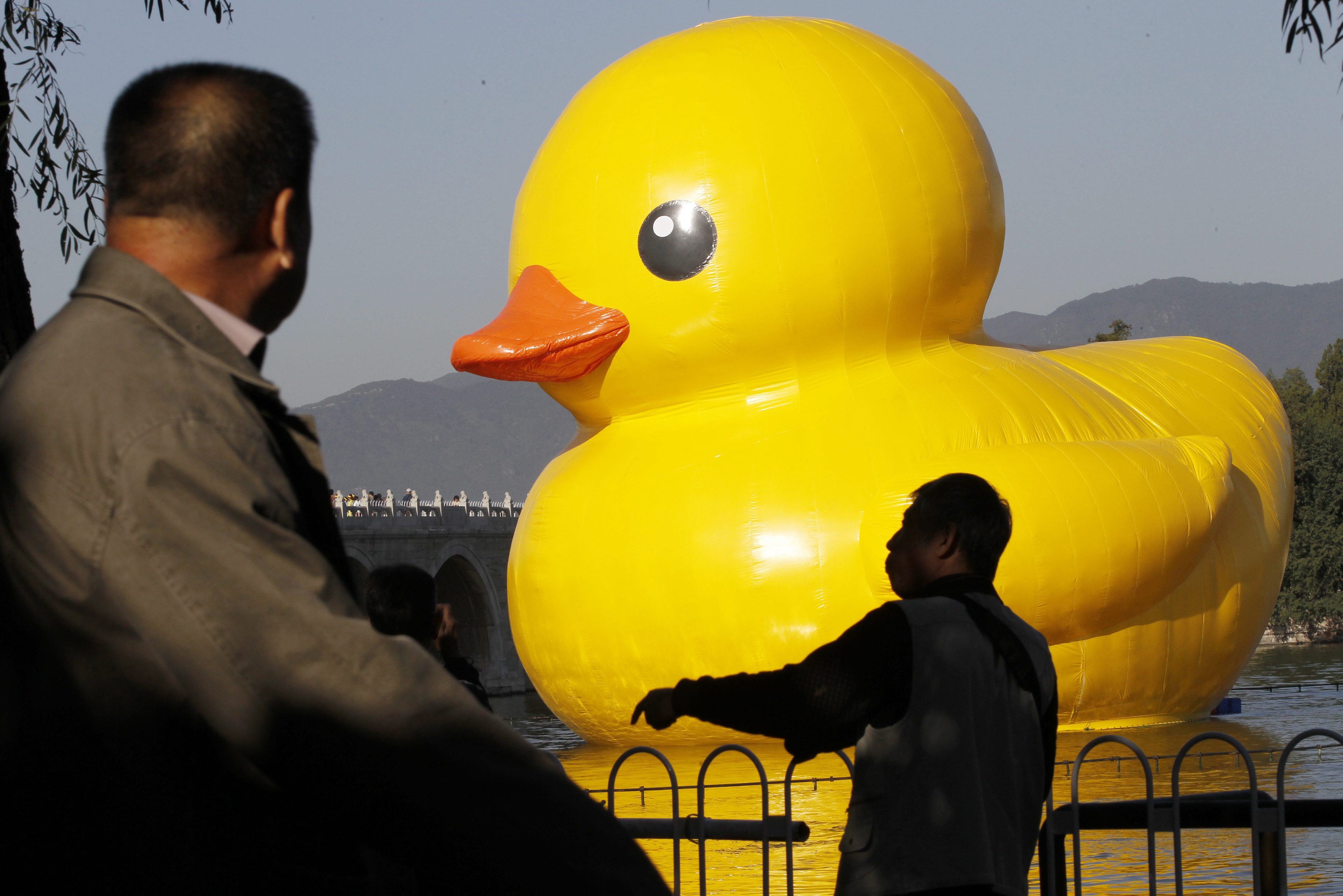 Peking heeft de gele reuzenbadeend uitgezwaaid die daar sinds september massa's mensen trok. Volgens het Chinese persbureau Xinhua bracht het project van de Nederlandse kunstenaar Florentijn Hofman in totaal ruim 200 miljoen yuan (bijna 24 miljoen euro) in het laatje. Bij de afscheidsceremonie in de Chinese hoofdstad was vrijdag behalve Hofman zelf, ook de beroemde Chinese kung fu-acteur Jackie Chan. De iconische metershoge eend begon zijn reis over de wereld in 2007 en is wereldwijd en met name in Azië een groot succes. Volgens de kunstenaar kent het kunstwerk geen grenzen, discrimineert het niet en heeft het geen politieke voorkeur. De drijvende eend moet overal ter wereld de aandacht richten op conflicten en die door zijn aanwezigheid proberen te verlichten.