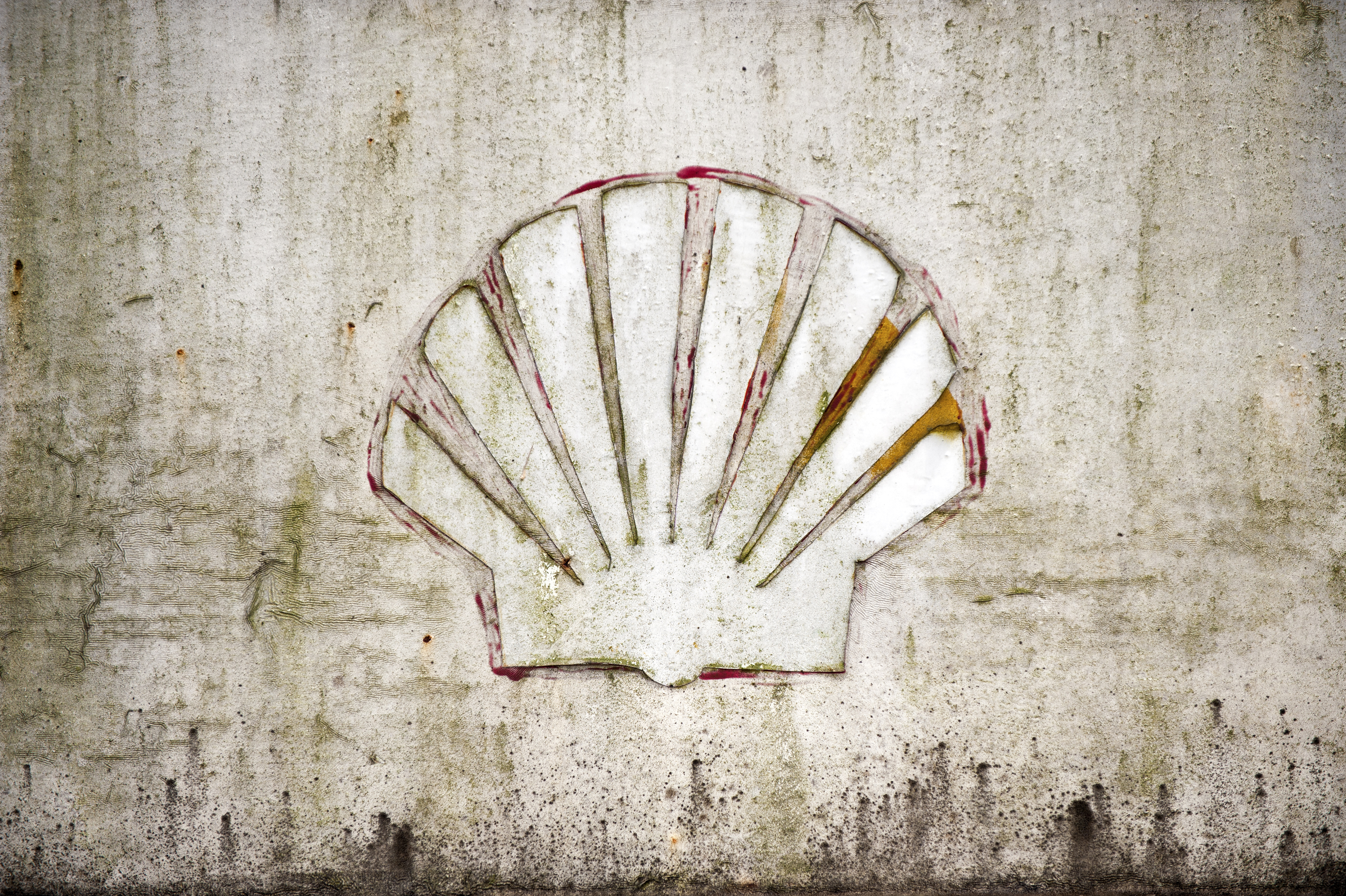 Het Nigeriaanse dochterbedrijf van Shell betaalt 55 miljoen Britse pond (70,2 miljoen euro) om de schade te vergoeden die ontstond door olielekkages bij het Nigeriaanse dorp Bodo. Dat maakte het olieconcern woensdag bekend. Shell erkende in augustus 2011 al verantwoordelijk te zijn voor twee olielekkages bij Bodo in 2008. De geleden schade wordt met 35 miljoen pond gecompenseerd, het restant komt ten goede aan de gehele gemeenschap. Het geld wordt betaald door Shell Petroleum Development Company of Nigeria (SPDC), waarin Shell een belang heeft van 30 procent. "We hebben vanaf het begin onze verantwoordelijkheden erkend en genomen voor de twee betreurenswaardige lekkages en zijn tevreden dat we een schikking hebben bereikt'', aldus directeur Mutiu Sunmonu van SPDC. Eerdere pogingen om te schikken mislukten, onder meer vanwege "buitensporige claims'', die op enig moment in totaal meer dan 300 miljoen pond bedroegen. Kritiek van Amnesty Amnesty International liet weten blij te zijn met de "langverwachte overwinning'', maar had ook de nodige kritiek op de handelswijze van Shell. "Het had geen zes jaar mogen duren om tot een faire compensatie te komen.'' Amnesty kaartte daarnaast nogmaals aan dat de vervuiling veel omvangrijker was dan Shell publiekelijke wilde toegeven. "Volgens Shell gaat het om circa 4000 vaten, terwijl de lekkage weken duurde.'' In 2012 liet Amnesty een onderzoek uitvoeren waaruit zou zijn gebleken dat het om meer dan 10.000 vaten gaat. Hoger beroep Milieudefensie heeft de bewoners van Bodo gefeliciteerd met de overwinning. Ook liet de vereniging weten met vertrouwen te kijken naar het hoger beroep in de rechtszaak die Milieudefensie met andere Nigeriaanse dorpen aanspande tegen Shell. Het hoger beroep speelt in maart in Nederland. Milieudefensie hoopt dat Shell kan worden gedwongen documenten openbaar te maken die mogelijk nalatigheid van het oliebedrijf aantonen.