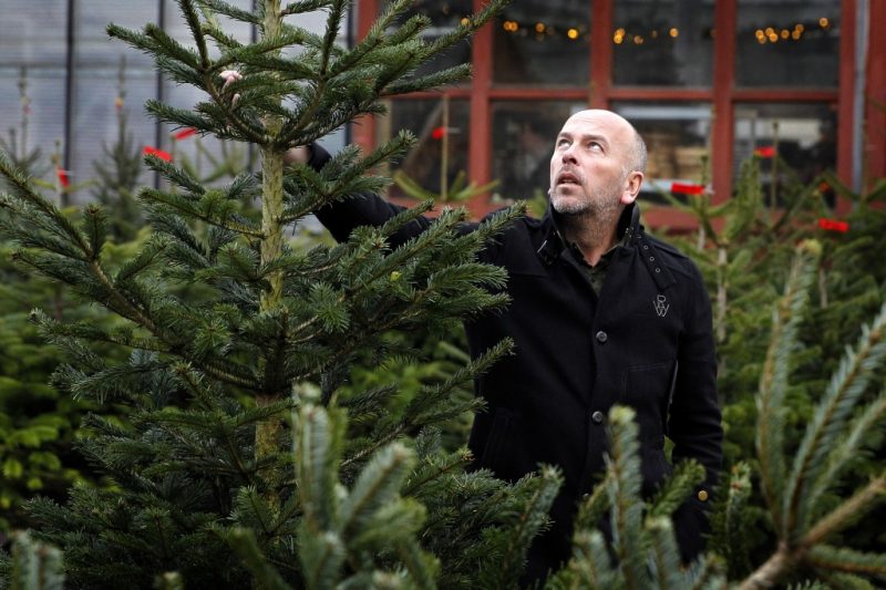 Verloren Manoeuvreren Historicus Kerstbomenoorlog: straatverkoper legt het af tegen Albert Heijn en IKEA
