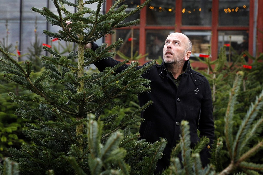 De traditionele verkoop van kerstbomen verdwijnt steeds meer uit het straatbeeld. De wederverkopers sneuvelen in de concurrentiestrijd tussen supermarkten (Albert Heijn, Aldi), tuincentra, doe-het-zelfketens (Praxis, Gamma) en zelfs het woonwarenhuis Ikea, dat via een speciale constructie bomen voor 1 euro verkoopt. "Als grootwinkelbedrijven kerstbomen onder de kostprijs verkopen, kunnen we als straatverkopers inpakken'', zegt André van den Bergh uit de Amersfoortse wijk Nieuwland, die na 28 jaar het einde van zijn handel ziet naderen. Van den Bergh stelt dat de kerstbomen bij bouwmarkten en winkelketens van inferieure kwaliteit zijn en het niet halen bij het ambachtelijke product dat hij van een kweker uit Noord-Limburg betrekt. Hij snapt evenmin dat Natuurmonumenten zich heeft verbonden aan Ikea, dat van elke boom 1 euro aan de natuurbeschermers schenkt. De kerstbomenverkoper: "Het is schijnheilig wat hier gebeurt. Wij leveren duurzame bomen met kluit die na gebruik weer de tuin in kunnen. Dat is beter dan gezaagde jonge bomen die al in oktober uit Denemarken naar de Ikea's in Nederland zijn gebracht. Niet erg duurzaam dus, zeker niet voor Natuurmonumenten.'' Natuurmonumenten verwijst voor de duurzame aspecten van de Ikeabomen door naar de woongigant. "Maar wij zijn blij met het geld dat voor natuurbeheer'', aldus een woordvoerster. Ikea zegt het rumoer rond de actie van straatverkopers niet te begrijpen. "De ‘Kerstboom voor één piek’-actie loopt nu voor het derde jaar'', aldus een woordvoerster. De Nordmannen groeien op plantages en worden gekweekt op velden via milieuvriendelijke methodes. De straatverkopers hebben het volgens haar mis met de herkomst: ze komen uit de Belgische Ardennen. De tuincentra klagen minder over de concurrentiestrijd. Zij zeggen al een paar jaar last te hebben van de branchevervaging, maar dat de straatverkopers daar het meest de dupe van zijn. "Wat we eventueel minder aan bomen verkopen, maken we met alle kerstartikelen wel weer goed'', zegt Rezja Blaas, communicatiemanager van Groenblok, een zelfstandige keten van 17 tuincentra. In Nederland worden jaarlijks 2 miljoen echte kerstbomen verkocht. De kunstkerstboom is wat op zijn retour. Consumenten willen weer groen ruiken en 'wat rommel van naalden in huis opruimen', zegt kerstbomenkweker en importeur Gerrit Brinkman van Brinkman Nordmann BV in Wenum-Wiesel. Hij zegt geen medelijden te hebben met de verdwijnende straatverkopers. "Het zijn merendeels hobbyisten die in een paar weken tijd een mooi bedrag verdienen. Daarna doen ze weer wat anders. Laat dat dan maar over aan mensen die er de kost mee moeten verdienen.''