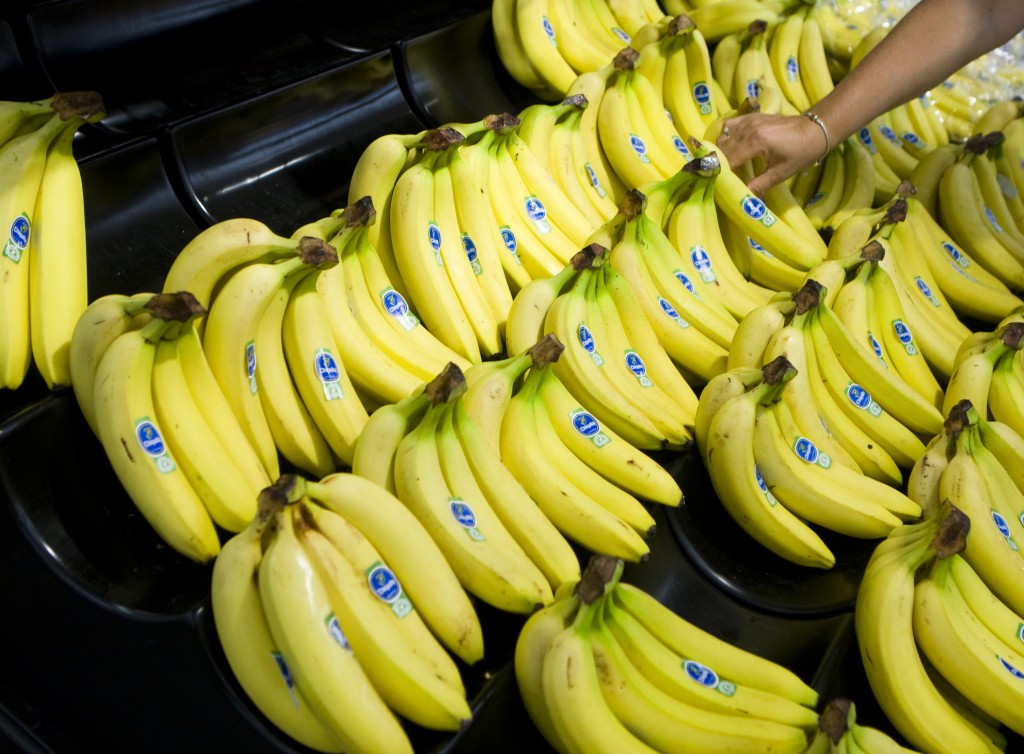 De Braziliaanse bedrijven Cutrale Group en Safra Group hebben hun bod op de Amerikaanse fruitproducent Chiquita Brands International verhoogd. Dat maakte het consortium woensdag bekend. De vruchtensapproducent en de investeringsmaatschappij zijn bereid 14 dollar per aandeel te betalen voor Chiquita, dat vooral bekend is als leverancier van bananen. Eerder werd 13 dollar per aandeel geboden. Het verhoogde bod is het volgende hoofdstuk in de strijd rond de fruitproducent. Begin deze maand werd bekend dat de Europese Commissie goedkeuring heeft gegeven aan de fusie van Chiquita met de Ierse branchegenoot Fyffes, die samen 's werelds grootste bananenbedrijf willen vormen. De stap moet een mogelijke overname door de Brazilianen voorkomen. Het Braziliaanse Cutrale is een grote producent van sinaasappelsap, maar produceert ook andere vruchten. Safra Group is in handen van Joseph Safra, de op één na rijkste man van Brazilië. Zijn conglomeraat is onder meer eigenaar van de bank Banco Safra. In 2011 nam Safra nog een controlerend belang in de Zwitserse bank Sarasin over van Rabobank.