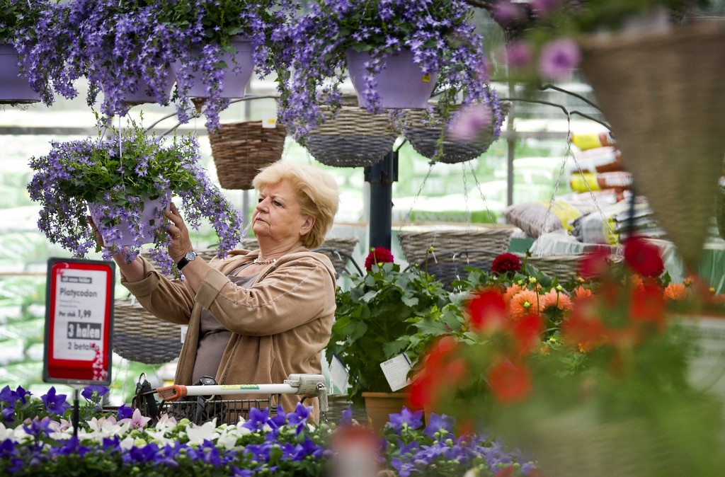 Tuincentra en andere verkopers van tuinartikelen profiteren dit jaar van de zachte winter en het vroege voorjaar. In januari en februari heeft de branche naar schatting al 5 procent meer omgezet dan in dezelfde maanden vorig jaar. Dat zei Brenda Horstra, adjunct-directeur van Tuinbranche Nederland, woensdag. "Veel tuincentra hebben nu al meer viooltjes verkocht dan vorig jaar in het hele voorjaar. De koopbereidheid is een stuk groter nu het weer beter is'', stelt Horstra. "In januari kochten consumenten vooral veel kamerplanten en -potten om de kerstboom te vervangen.'' Afgelopen jaar daalde de omzet in de tuinbranche nog ruim 8 procent, naar 2,2 miljard euro. Door de lang aanhoudende winter en het slechte weer tot de zomer werden er een stuk minder bloemen en planten verkocht. De uitgaven aan buitenplanten daalden met 16 procent. Bij bloemen en planten voor binnenshuis was sprake van een omzetdaling van 11 procent. Bij tuingereedschap en barbecues liepen de verkopen met 9 procent terug. 2013 was het tweede jaar met krimp op rij. Een jaar eerder dook de omzet van de tuinbranche al met 6,5 procent in de min. Tuinbranche Nederland baseert de cijfers op een doorlopend marktonderzoek onder 10.000 consumenten.