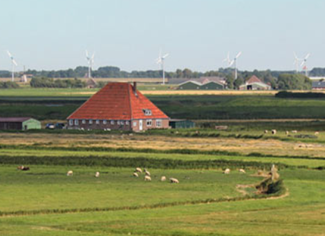 Een nieuw energieplatform wil producenten van duurzame stroom direct koppelen aan afnemers. Met uitschakeling van traditionele energieleveranciers. Vandebron, zo heet de nieuwe online marktplaats voor energie, een start-up opgericht door ondernemers Remco Wilcke, Aart Veller, Matthijs Guichelaar en Michael Fraats. Vanaf 2 april opent het platform dat producenten van stroom uit wind, zon, water en biomassa in Nederland direct wil koppelen aan afnemers. Idee is kopers hiermee precies weten waar hun energie vandaan komt en dat de winstmarge die traditionele leveranciers pakken op de levering van stroom naar de klant gaat.