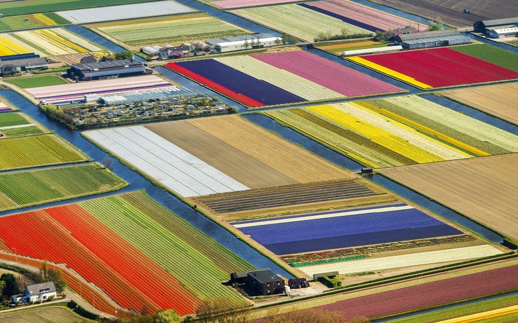 Nederland heeft in februari 1,9 procent meer goederen uitgevoerd dan een jaar eerder. Dat maakte het Centraal Bureau voor de Statistiek (CBS) vrijdag bekend. In januari was nog sprake van een lichte krimp (0,4 procent). De import groeide in februari met 1,3 procent. De waarde van de geëxporteerde goederen bedroeg in februari 34,9 miljard euro. Dat is 0,5 procent minder dan een jaar eerder. De invoerwaarde lag 1,5 procent lager en kwam uit op 30,5 miljard euro. Dat de waarde van zowel de in- als de uitvoer daalden, is vrijwel geheel toe te schrijven aan het feit dat er gemeten in euro's minder olie is ingevoerd en minder gas is geëxporteerd.