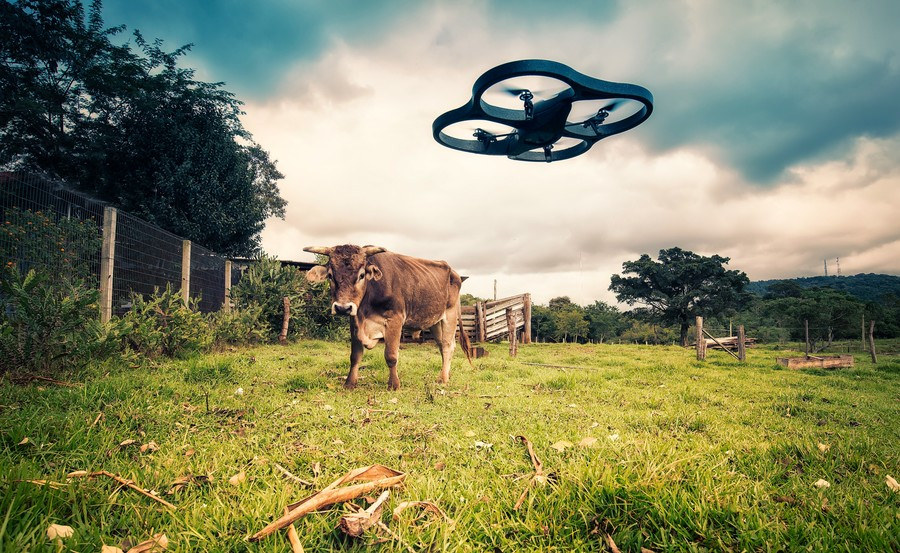 DAS drone
