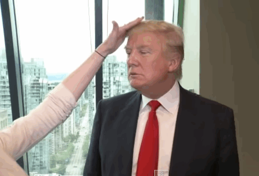 Een GIF van Donald Trump en zijn beroemde haar. Foto: Giphy