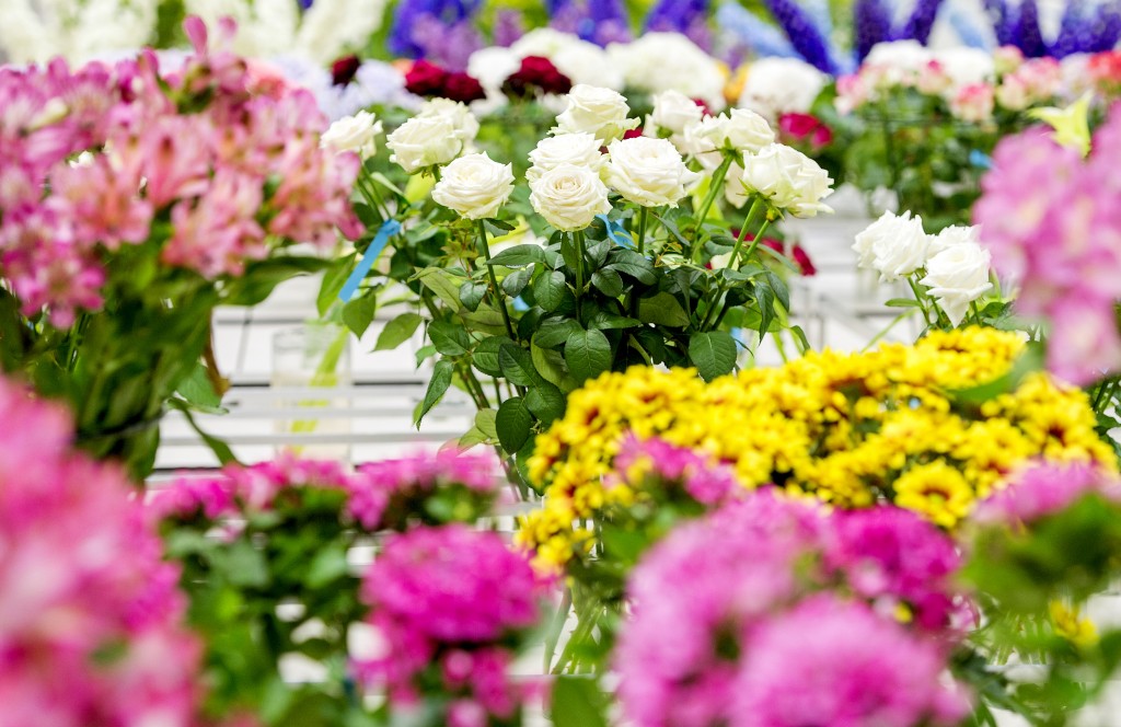 's Werelds grootste bloemenveiling, FloraHolland, wil andere tarieven gaan vragen voor kleine telers dan voor enorme bloemenbedrijven. Er moeten vijf verschillende vormen van lidmaatschap komen, met elk een eigen tarief.