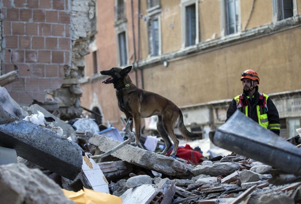 Het Italiaanse Openbaar Ministerie onderzoekt of het instorten van meer dan honderd gebouwen bij de aardbeving van woensdag iemand is aan te rekenen. Het OM vermoedt dat de bouwvoorschriften niet zijn nageleefd en gaat na of er sprake is van dood door schuld.