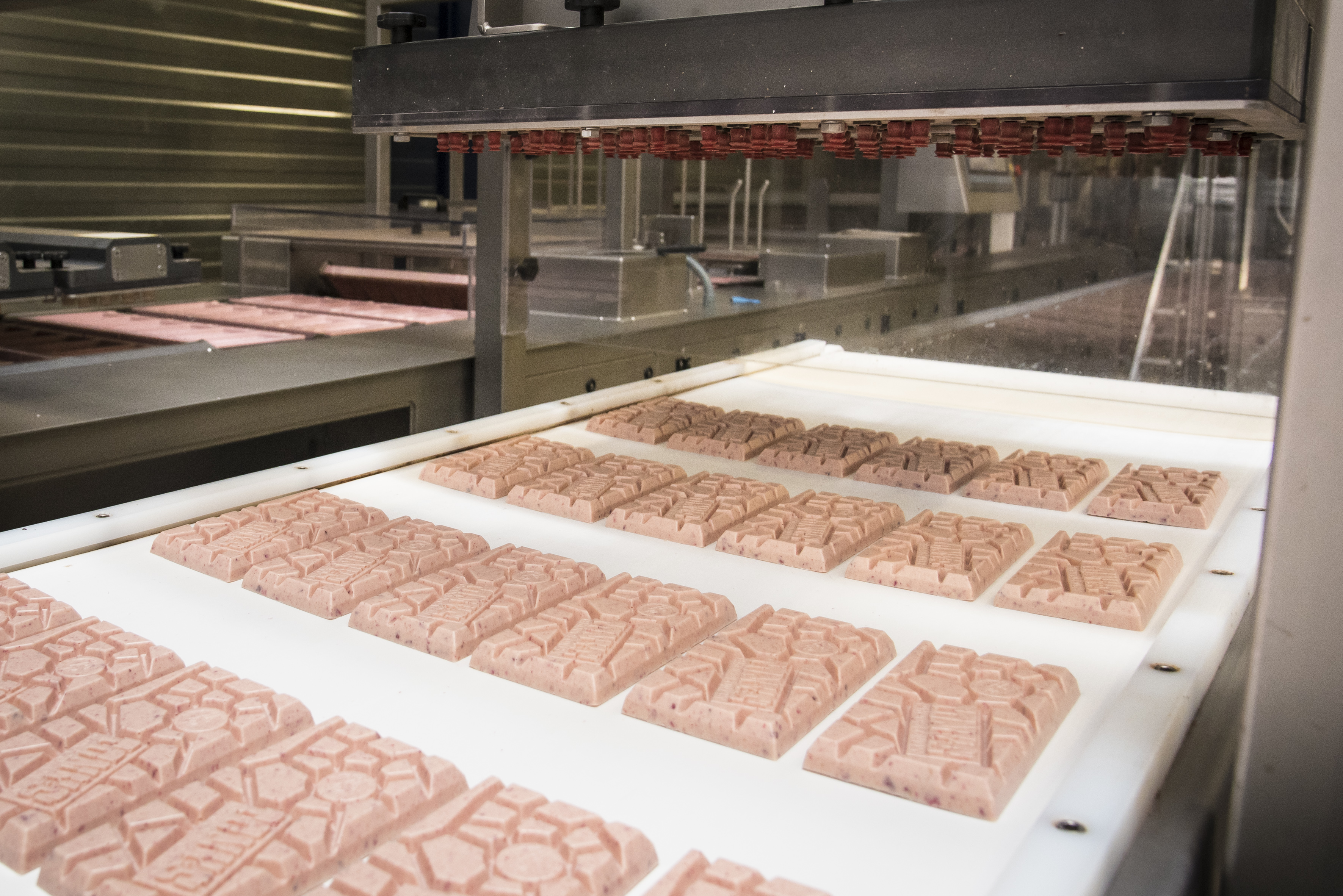 persreis Tony's Chocolonely, repen- en wikkelfabriek