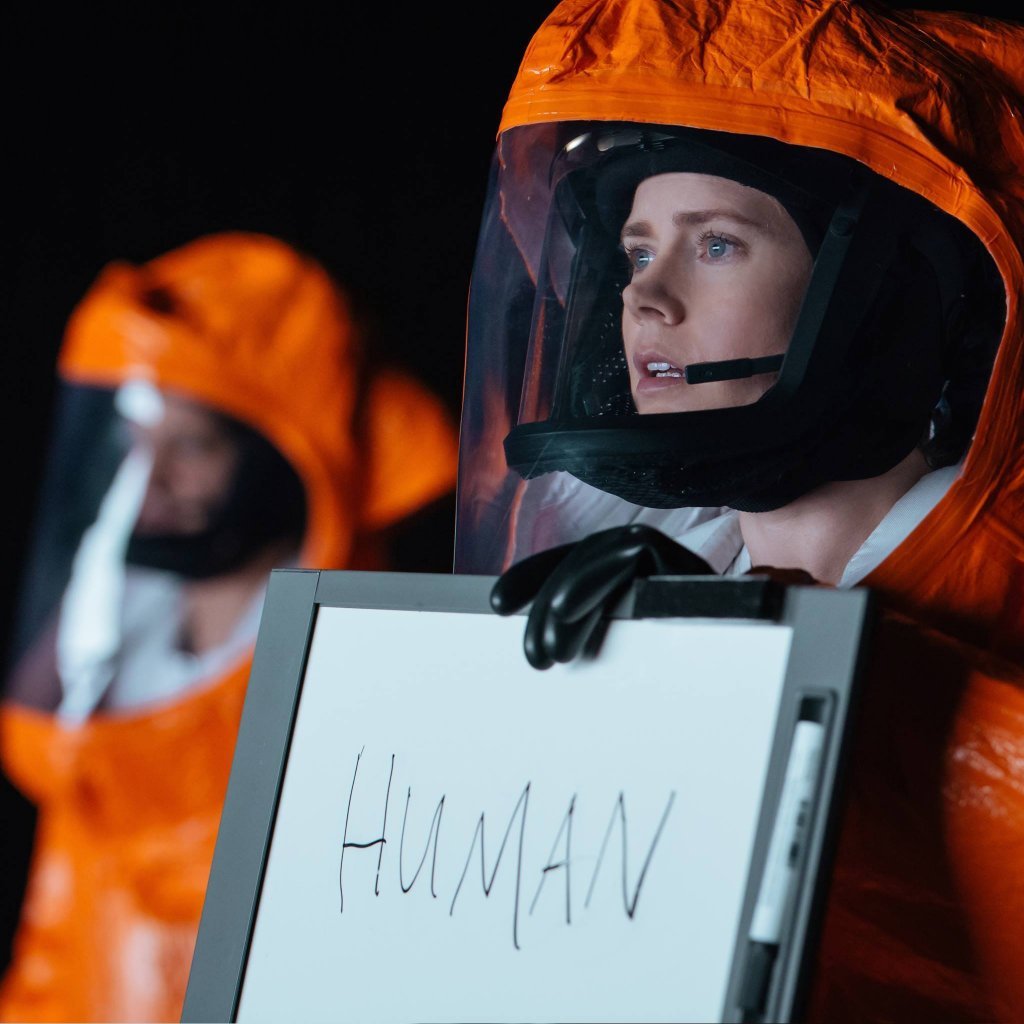 arrival-november-11