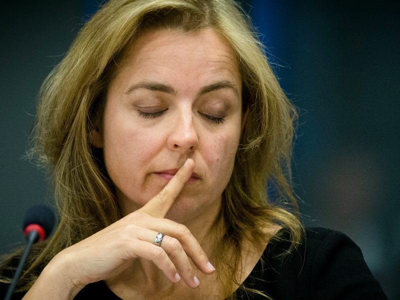 Volgens Marianne Thieme Zijn De Meeste Partijen In De Tweede Kamer Een Slap Aftreksel Van D66 4202