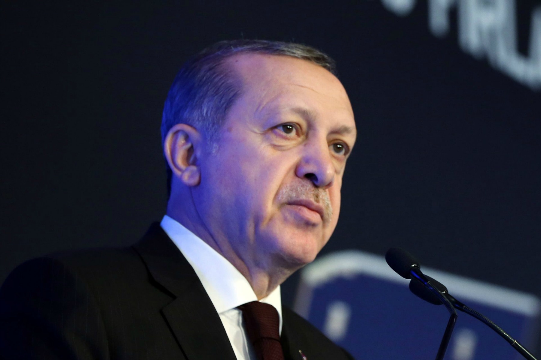Tayyip Erdogan, Turkije