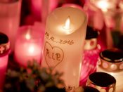 Tunesië heeft drie mensen opgepakt die in contact zouden hebben gestaan met de Tunesiër Anis Amri, de vermoedelijke dader van de bloedige aanslag maandag op de kerstmarkt in Berlijn. Dat hebben de Tunesische autoriteiten bekendgemaakt.