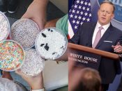 dippin dots ijsmerk sean spicer