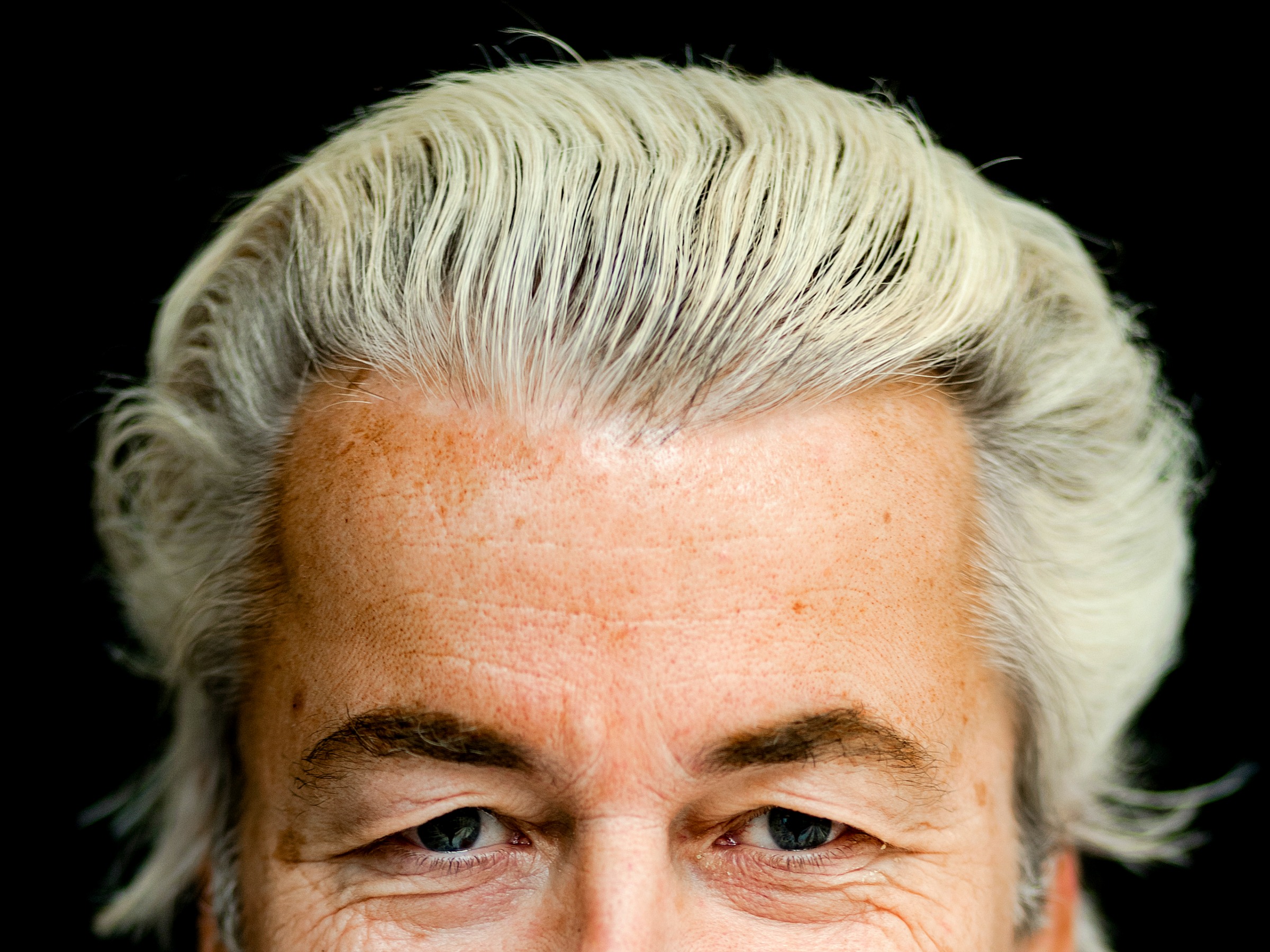PVV, Geert Wilders, The Netherlands