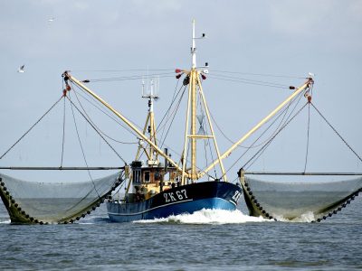 garnalen prijs vissers garnalen prijs vissers lauwersoog urk kotters