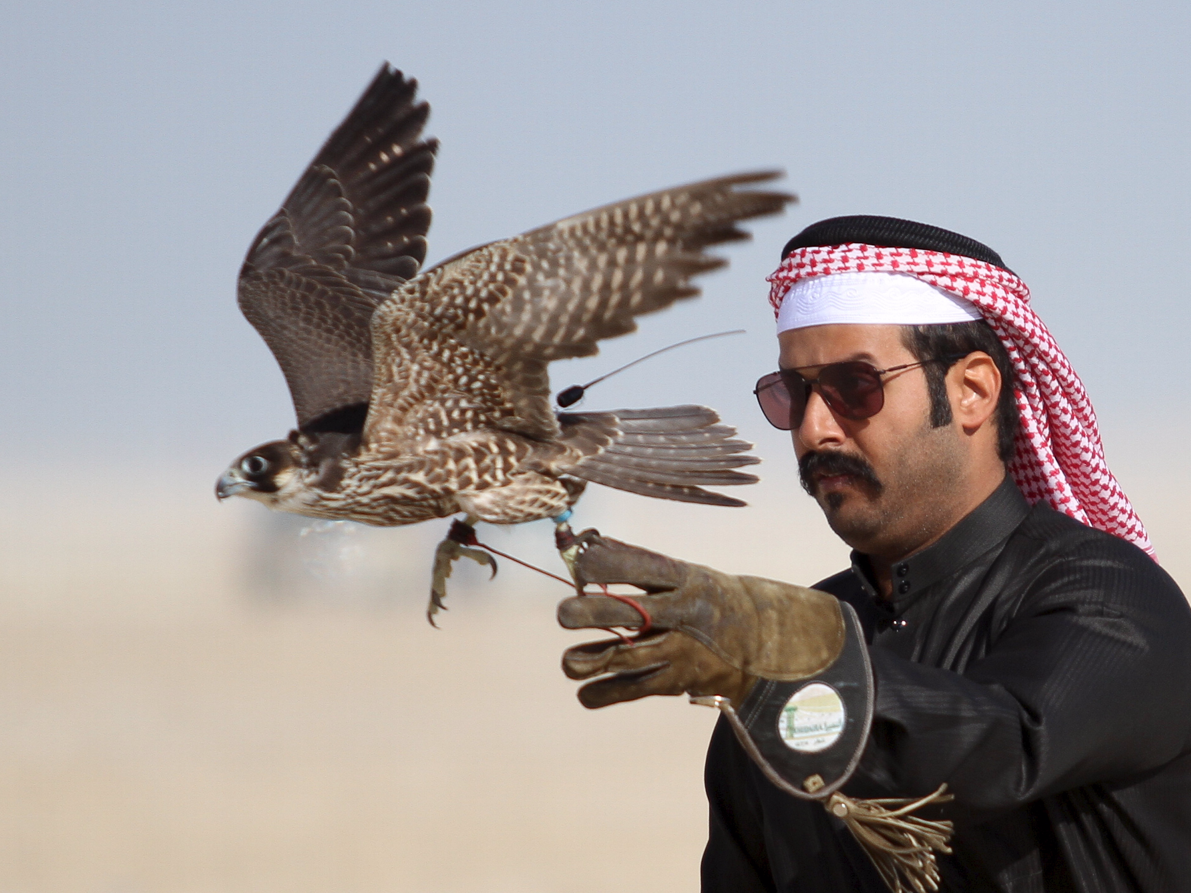 Qatar, gijzeling, koninklijke familie, valkenjacht