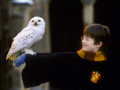 Harry Potter, sociale gelijkheid