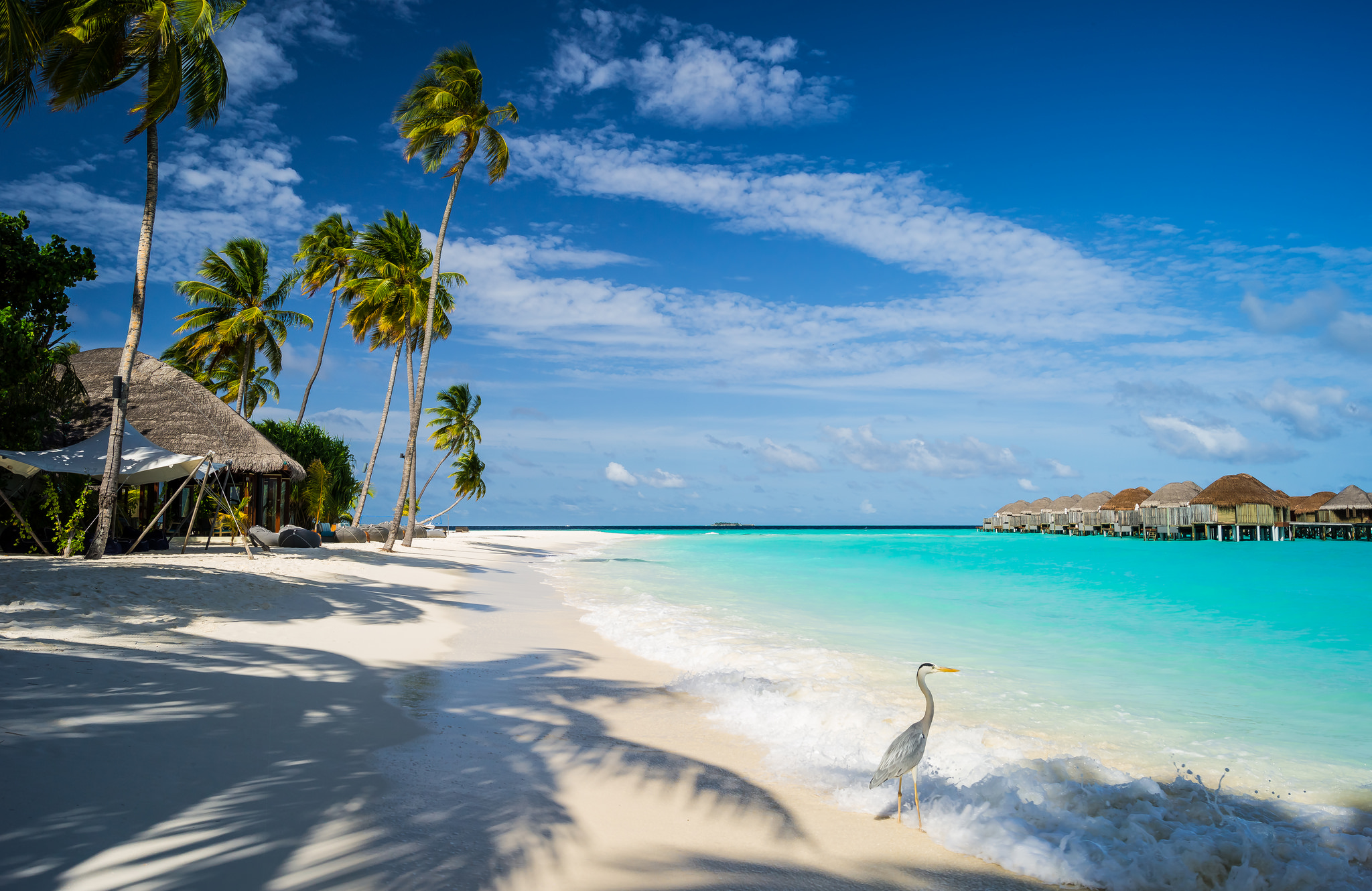 De Maldiven staan bekend om hun strakke witte stranden en tophotels. Foto: Mac Qin/Flickr