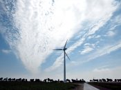 windmolens, boeren