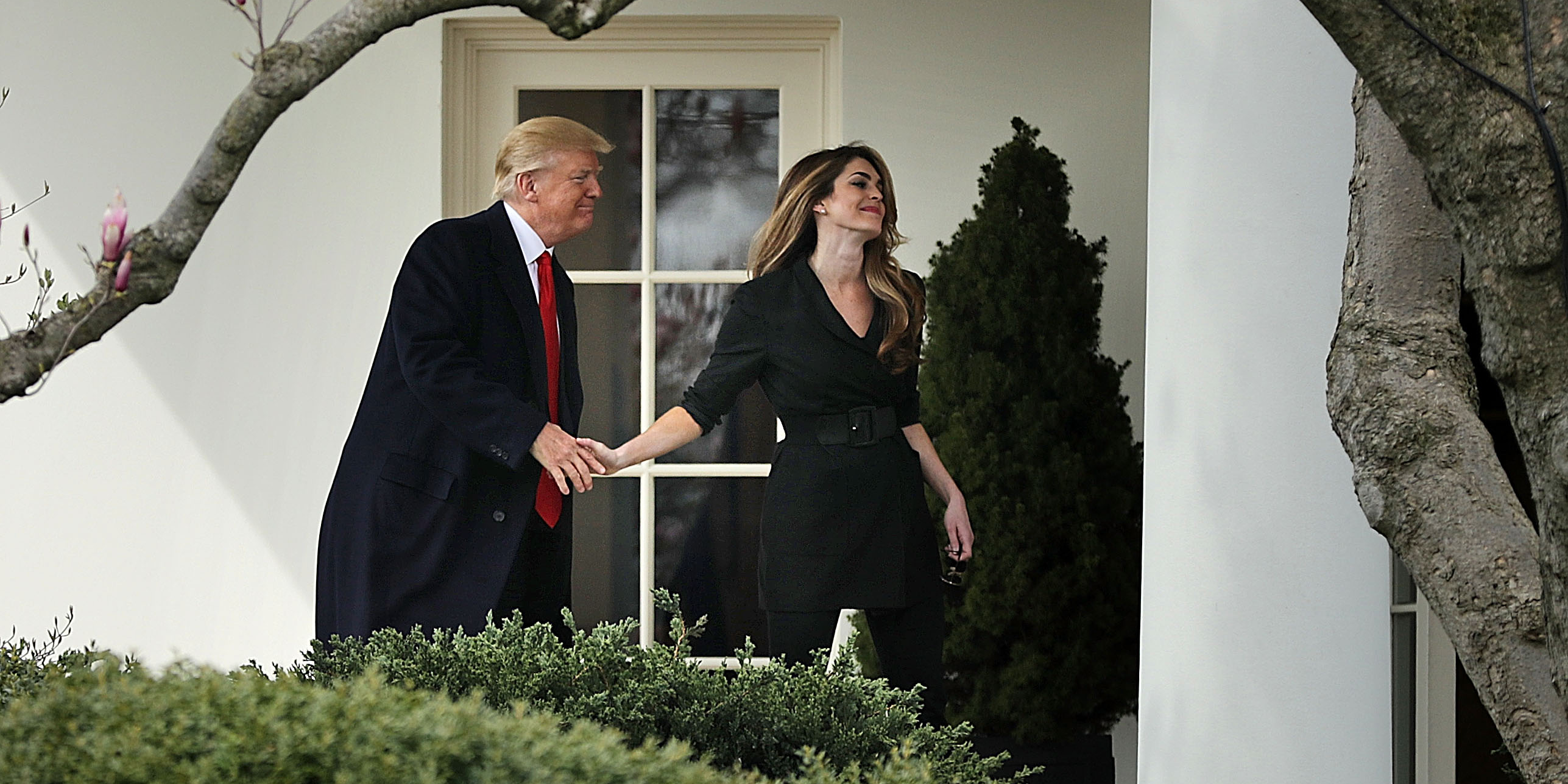 Hope Hicks, Donald Trump