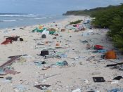 henderson island plastic stranden