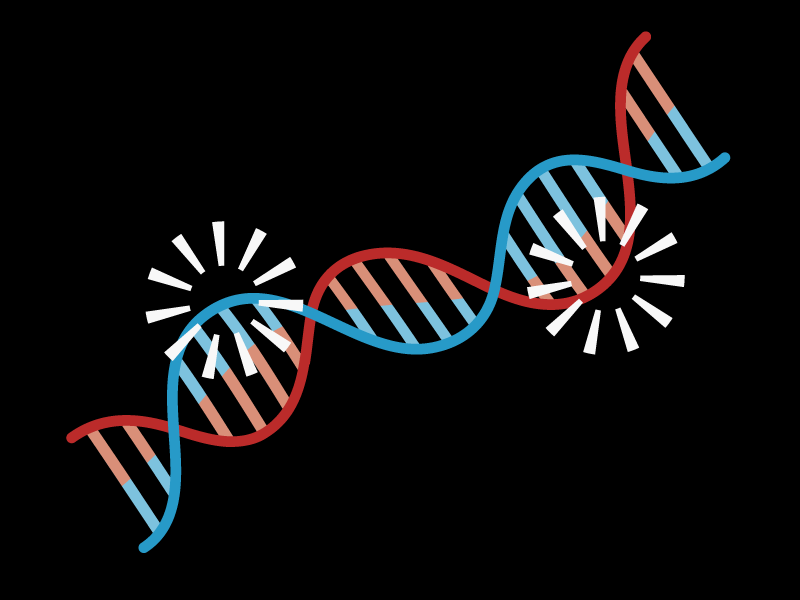 Эпигенетика. ДНК полоски. Genes лого. Эпигенетика фильм. Пространство ДНК.