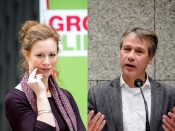 groenlinks voorzitter marjolein meijer kamerlid rik grashoff relatie