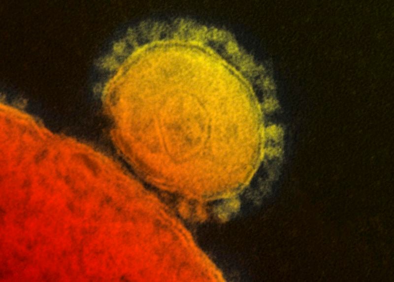 De grote problemen met het coronavirus zitten momenteel in drie landen: Italië, Zuid-Korea en Iran. Daar komen er op dagbasis nog honderden nieuwe meldingen van besmettingen met het coronavirus bij. Italië neemt inmiddels drastische maatregelen zoals een landelijke sluiting van scholen en universiteiten.