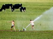 droogte nederland boeren