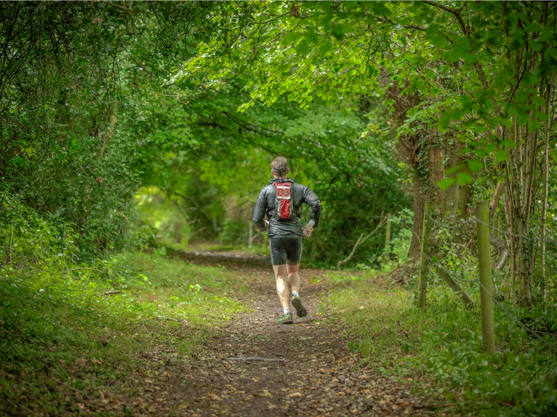 Forest перевод. Трейл по лесу. Бег по лесу от первого лица. Имитация бега по лесу. Место для бега лес.