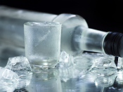 Wodka