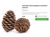 Intratuin verkoopt twee dennenappels voor 5 euro