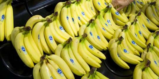 Bananen