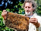 Imker Nico Teseling aan het werk bij een bijenkast op de Landelijke Open Imkerijdag