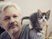 Julian Assange en zijn kat