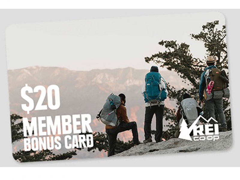 rei advanced tune up cost