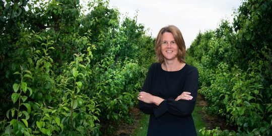 Albert Heijn gaat vers anders aanpakken - dit zijn 5 dingen die je zult merken in de supermarkt