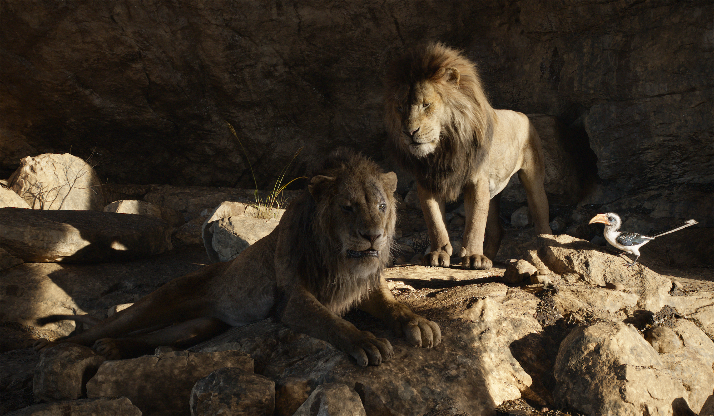 totaal Susteen Landelijk The 'Lion King' remake has a new scene that will make you see Scar's  vendetta against his brother in a new light