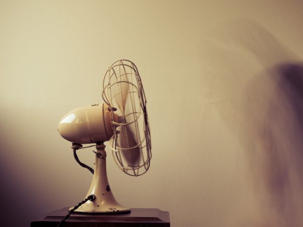 Foto: Ava Sol/Unsplash Foto: Ava Sol/Unsplash