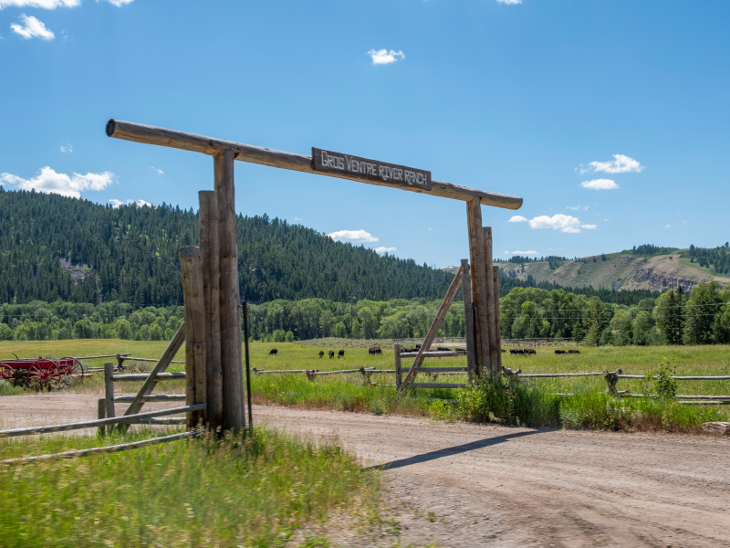 I toured a Jackson Hole dude ranch where people pay more than $2,100 to ...