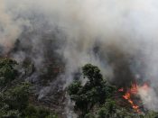In het Braziliaanse Amazonegebied zijn eind deze week honderden nieuwe branden uitgebroken