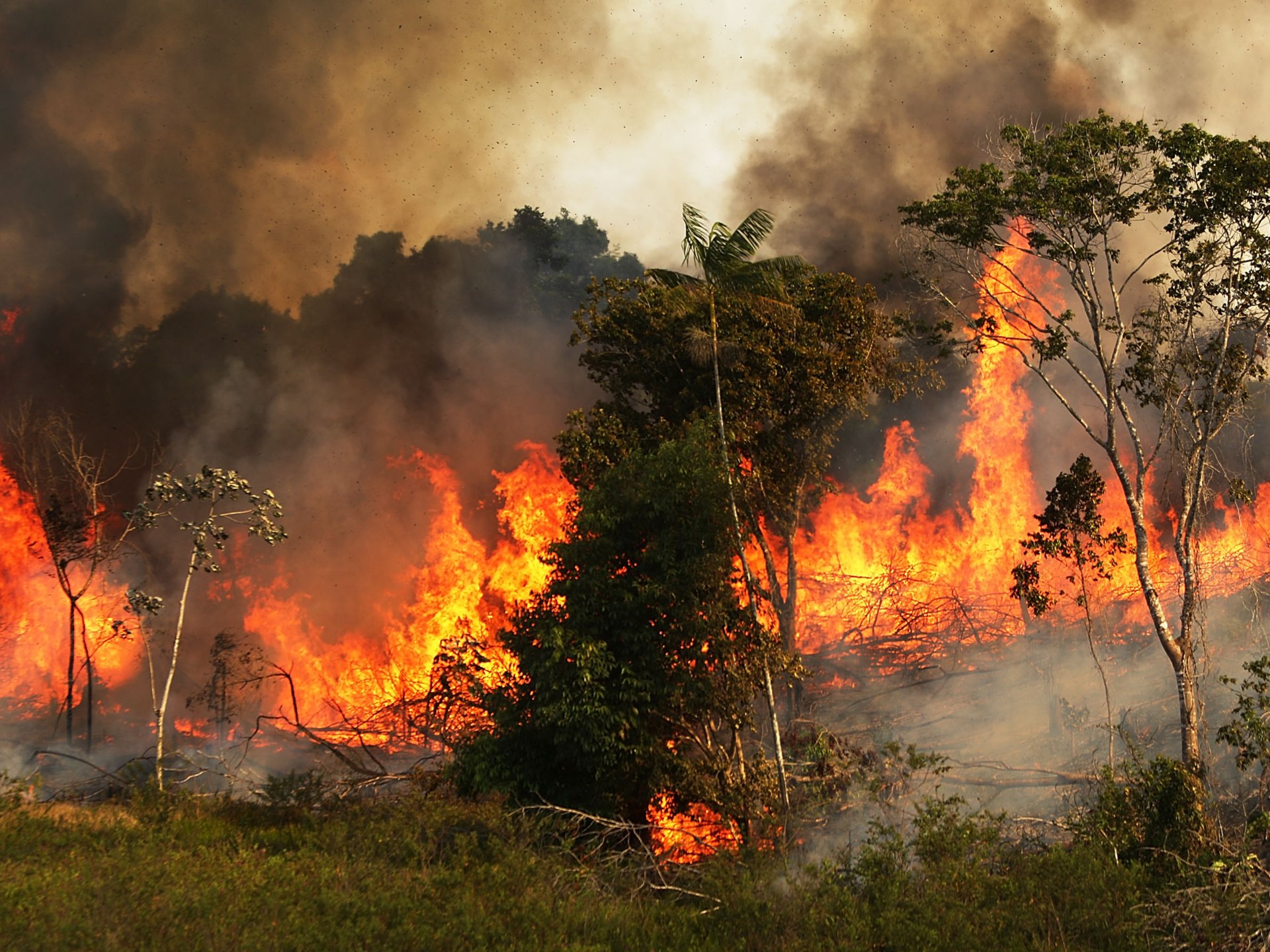 A fire burns along a highway in a deforested section of the Amazon basin on November 23, 2014 in Ze Doca, Brazil.