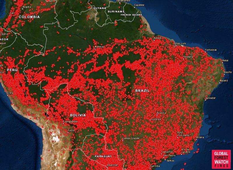 Brazil has seen 100,000 fire alerts in 10 days, but it's not just the