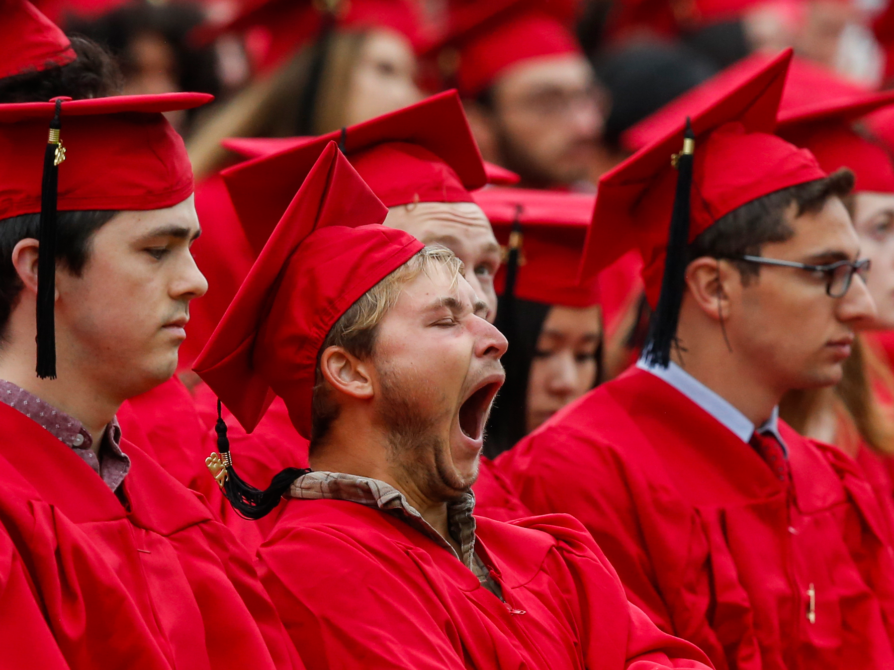 College majors. Graduation from College students.