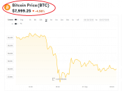 bitcoin 8.000 dollar