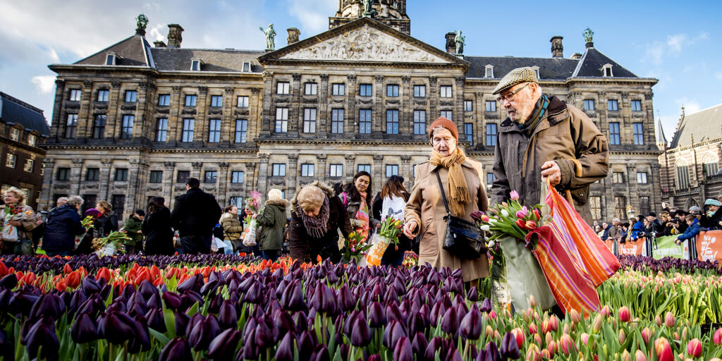 Tulpen in Amsterdam.
