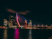 Rotterdam by night, Erasmusbrug